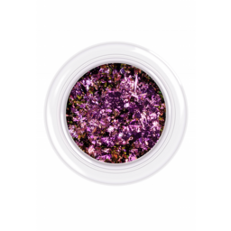 Натисніть для збільшення зображення Duo Chrome Flakes F03 (пігмент) 0,3г
