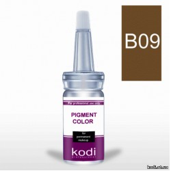 Пігмент для брів B09 (Середньо-коричневий) 10 мл купить в официальном магазине KODI Professional